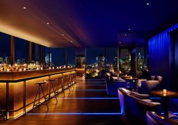 the-roof-at-public-hotel-new-york-city-ROOF1117